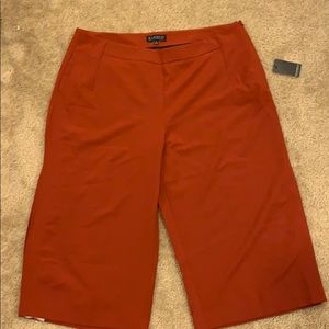ELOQUII BNWT Culottes Pants sz. 20